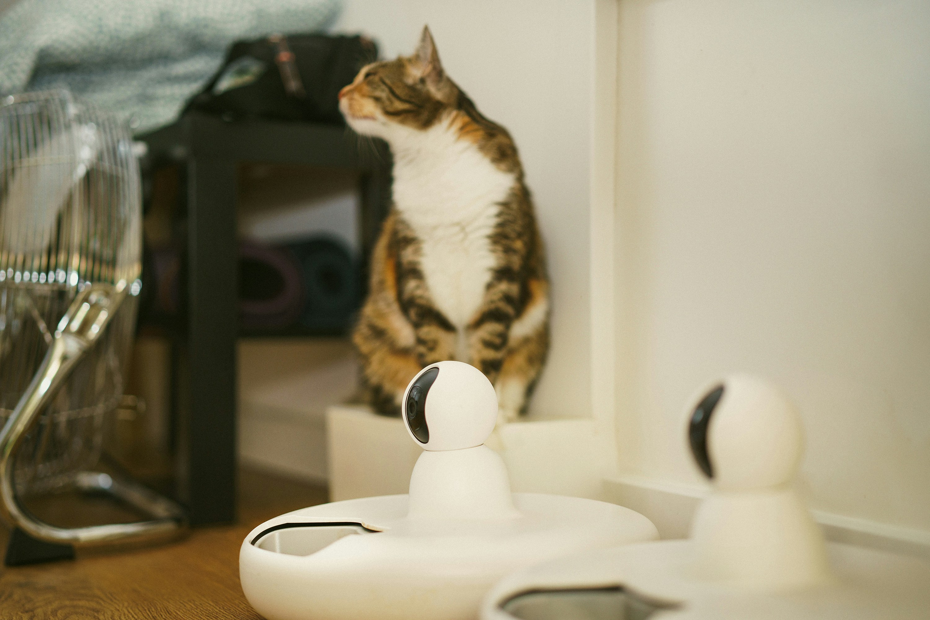 Enhance Your Home With Discreet Smart Devices For Safer Living