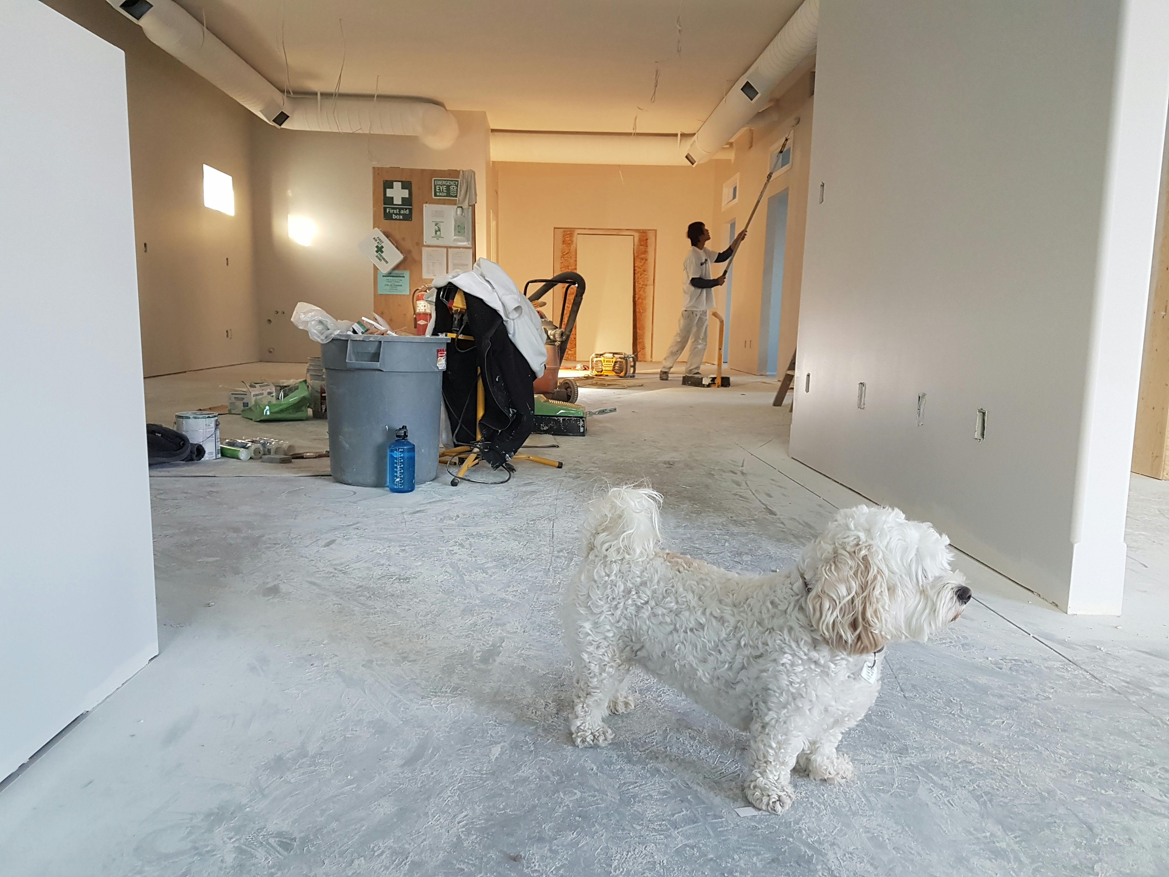 Extend Your Renovation Budget With Creative At Home Upgrade Ideas